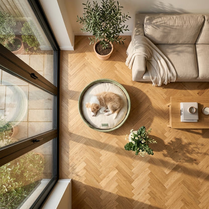 🥬 KalePaws™ Pure Natural Eco-Friendly Pet Nest/Mat