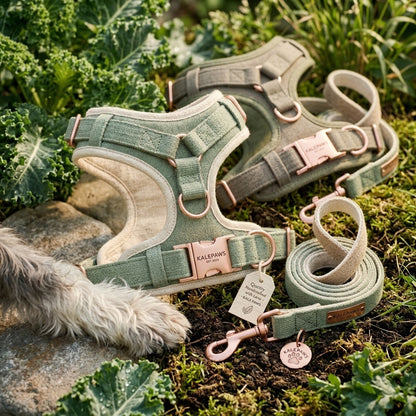 🥬 KalePaws™ Eco-Hemp Anti-Pull Comfort Harness & Leash Set