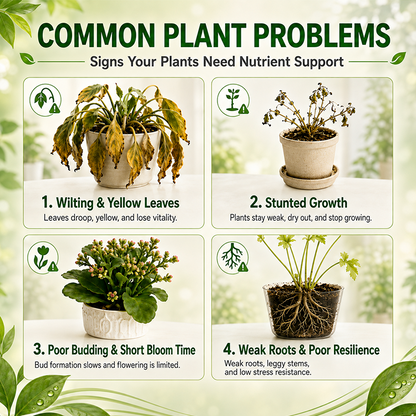 Official US Store, Plant Energy Bar-PUSH IT INTO THE SOIL — LET YOUR PLANTS FEED